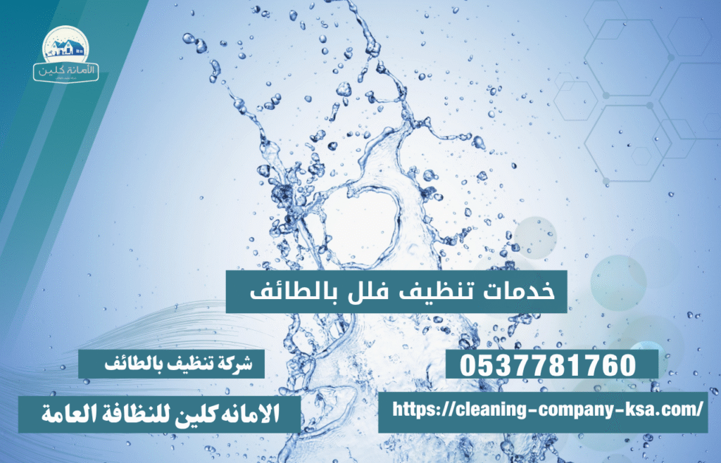 شركة تنظيف خزانات المياه بالطائف